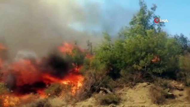 Aladağ'da orman yangını