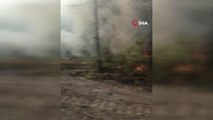 Son dakika haberleri: Aladağ'da orman yangını