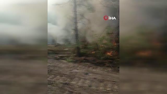 Son dakika haberleri: Aladağ'da orman yangını