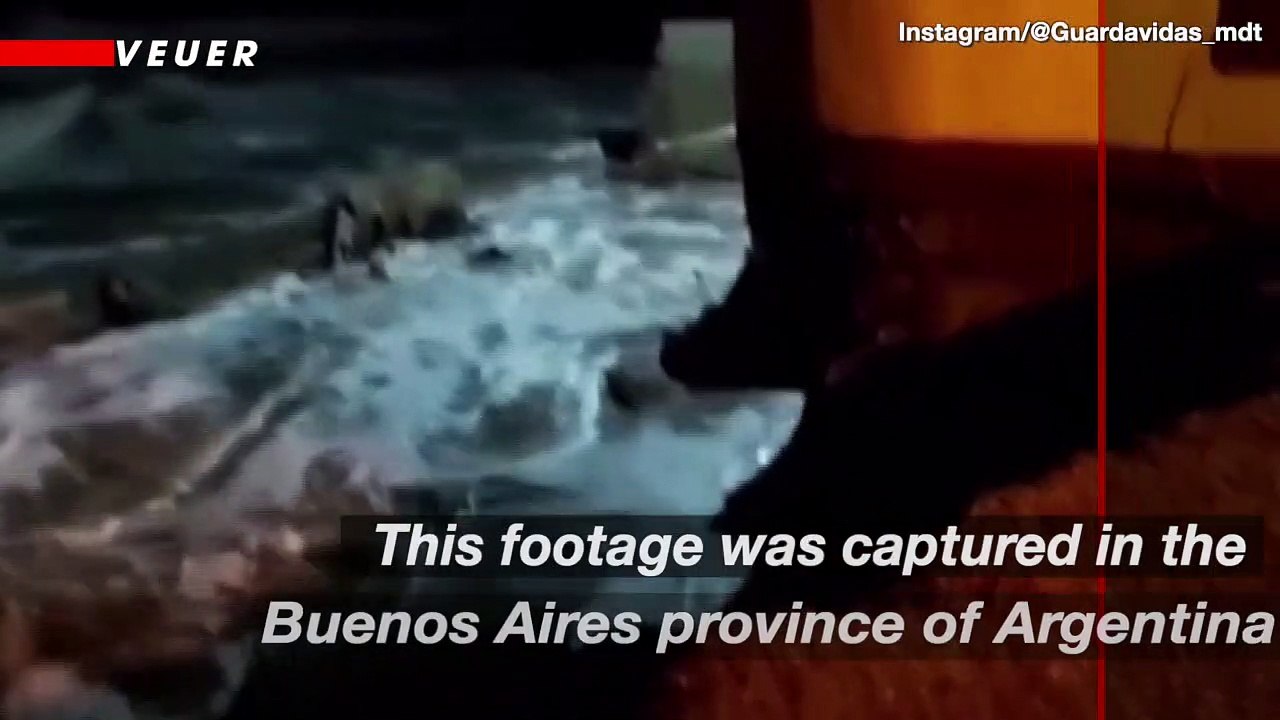 Harrowing Footage Shows the Moment Waves Drag an Entire Home into the Sea