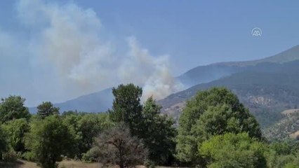 Son dakika haberi | Orman yangını çıktı