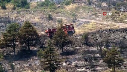 Kocaeli’de orman yangını