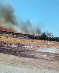 Bodrum ve Didim'de De Orman Yangınları Çıktı