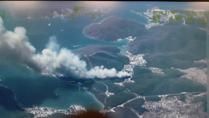 Bodrum'da orman yangını