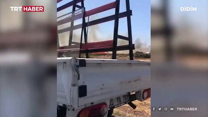 Bodrum ve Didim'de de orman yangınları çıktı