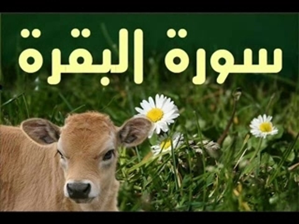 Coran Lu en Français par Marie Kettani.