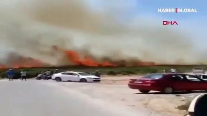 Aydın'ın Didim ilçesinde makilik alanda yangın