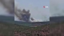 Kilis'te orman yangını... Ekiplerin müdahale ettiği yangın büyüyor