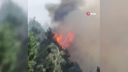 Orman yangına müdahale devam ediyor