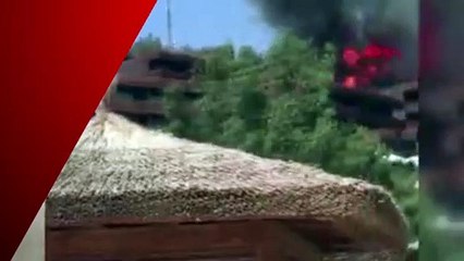 Milas'ta orman yangını; alevler iki otelin bahçesine kadar dayandı