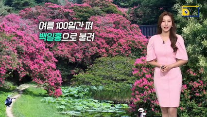 [날씨]오늘과 내일 곳곳 소나기…폭염은 계속