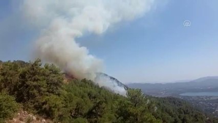 Son dakika haber! Köyceğiz'de çıkan orman yangına müdahale ediliyor