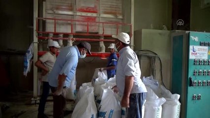 Buğdaylar geleneksel yöntemlerle taş değirmenlerde öğütülüyor