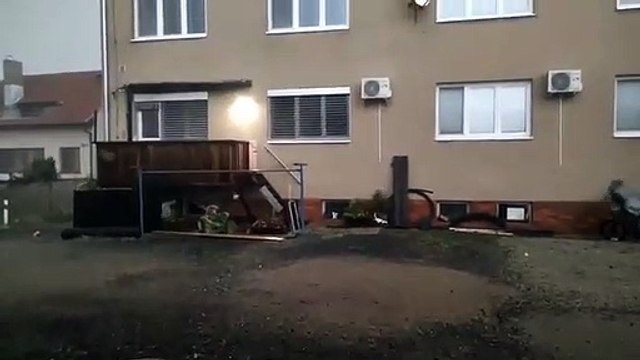 Ce chien n'a pas peur des tornades