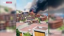 Bodrum'da orman yangını: Bir otel denizden tahliye ediliyor