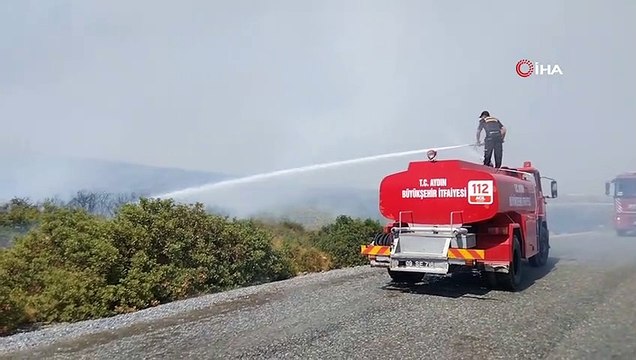 Didim'de makilik ve zeytinlik alanda yangın çıktı