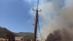Son dakika haberleri | Muğla'nın Köyceğiz ilçesinde çıkan orman yangını kontrol altına alınmaya çalışılıyor