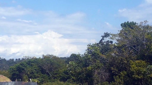 Airbus A320 PR-TYD na aproximação final antes de pousar em Manaus vindo de Guarulhos