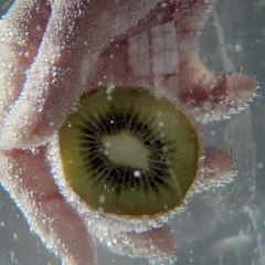 Square video -  Aspect ratio  4/3