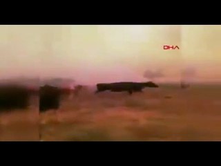 Bu görüntülere yürek dayanmaz: Allahım yardım et... N'olursunuz gelin