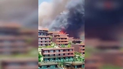 Cihat Yaycı'dan çarpıcı açıklama: Devlet Yunan-PKK terörüyle karşı karşıya