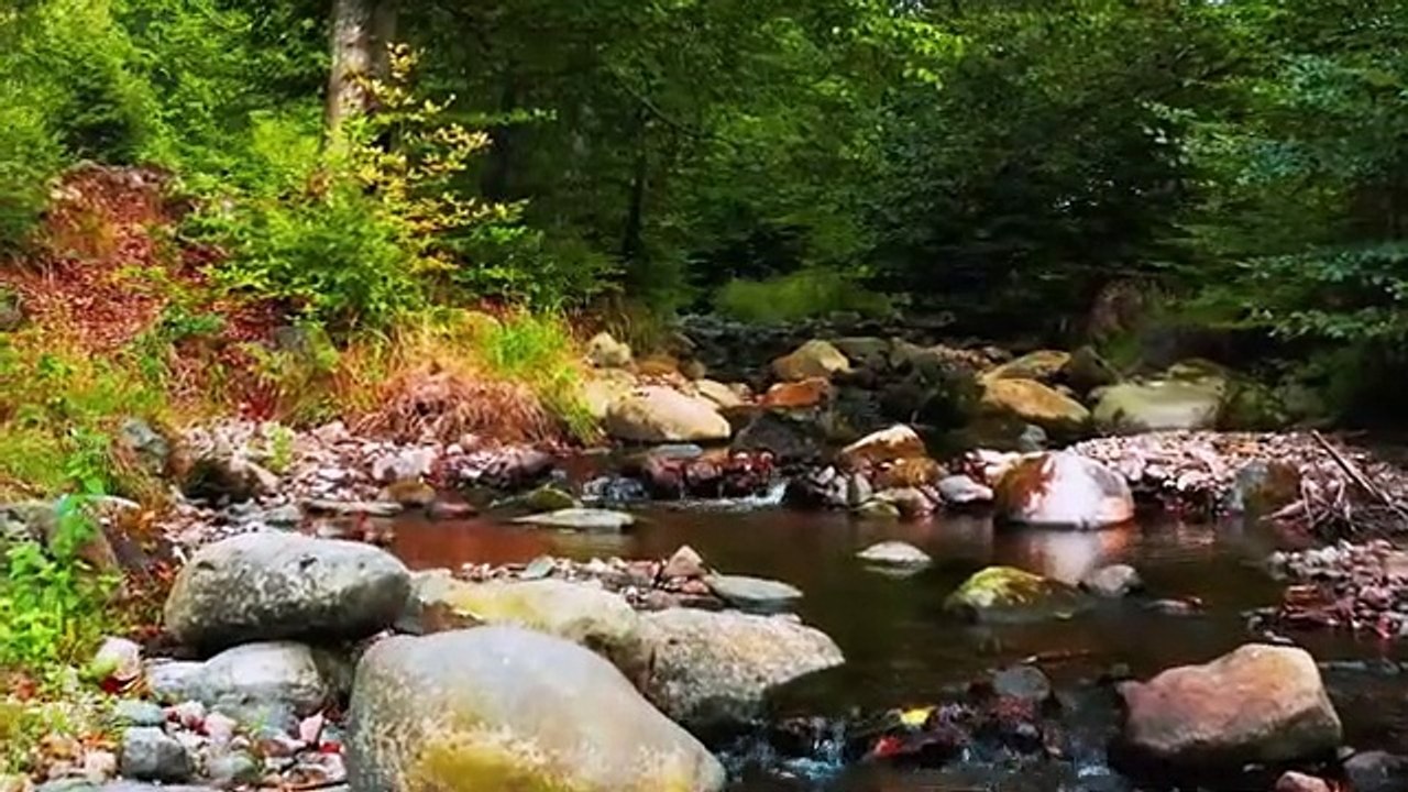 Copyright Free Music | No Copyright Background Nature free Video | copyright-free nature video