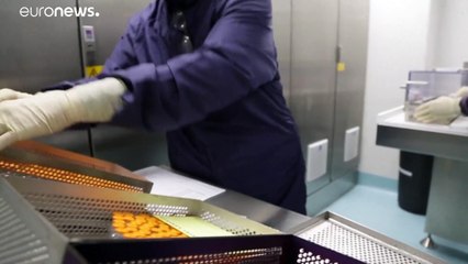 Las conspiraciones sobre las vacunas son "fantasiosas", según AstraZeneca