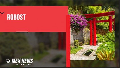 JARDINEROS ROBOTS EN JARDÍN ZEN EN TOKIO