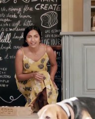 Dog Status Video | Whatsapp videos