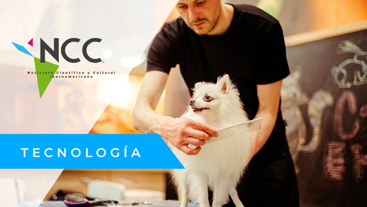 En Brasil, el mercado de productos para mascotas crece un 87 %