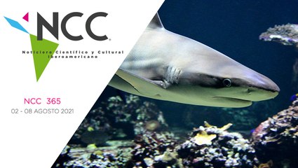 Noticiero Científico y Cultural Iberoamericano, emisión 365. 02 al 08 de agosto del 2021