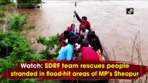 देखें: मध्य प्रदेश के श्योपुर में बाढ़ प्रभावित क्षेत्रों में फंसे लोगों को एसडीआरएफ टीम ने बचाया