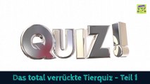 Das total verrückte Tierquiz Teil 1