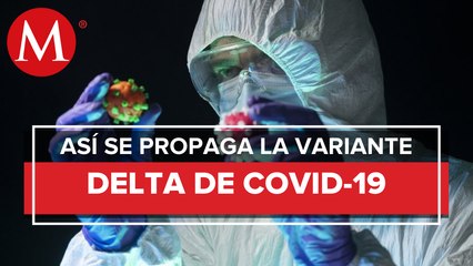 Variante Delta de covid es 60% más contagiosa, afirma OPS