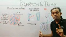 10th biology,respiration in plants,ms patel e learning_HD