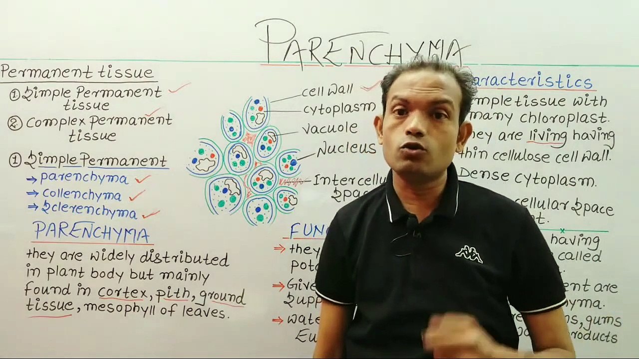9th biology,tissues,parenchyma tissue,ms patel e learning_HD