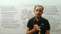 9th biology,tissues,collenchyma tissues,ms patel e learning_HD