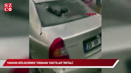 Download Video: Yangın bölgesinde 'ormanı yaktılar' infiali! Öfkeli kalabalık linç etmek istedi