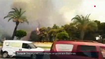 Turquie : de violents feux de forêt font trois morts