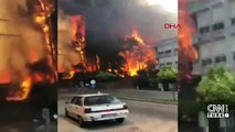 SON DAKİKA: Yangın haberleri peş peşe geldi! Bodrum, Alanya ve Didim'de de başladı...
