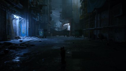 Stray - Tráiler gameplay
