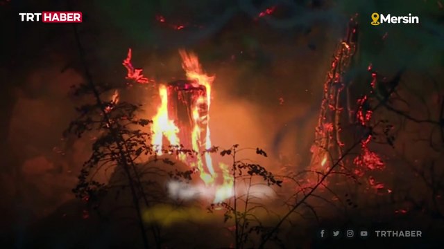 Alevlerle mücadele canla başla sürüyor