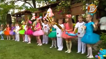 Lollipops-Ciocolata
