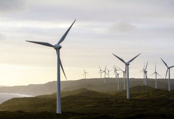 Cutting Carbon Emissions Would Save Millions of Lives, New Study Finds