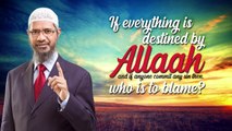If everything is destined by Allah and if anyone commit any sin then who is to blame