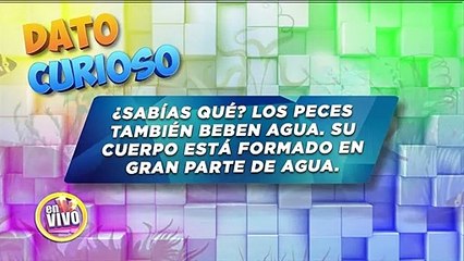¿Sabías qué?... los peces también beben agua