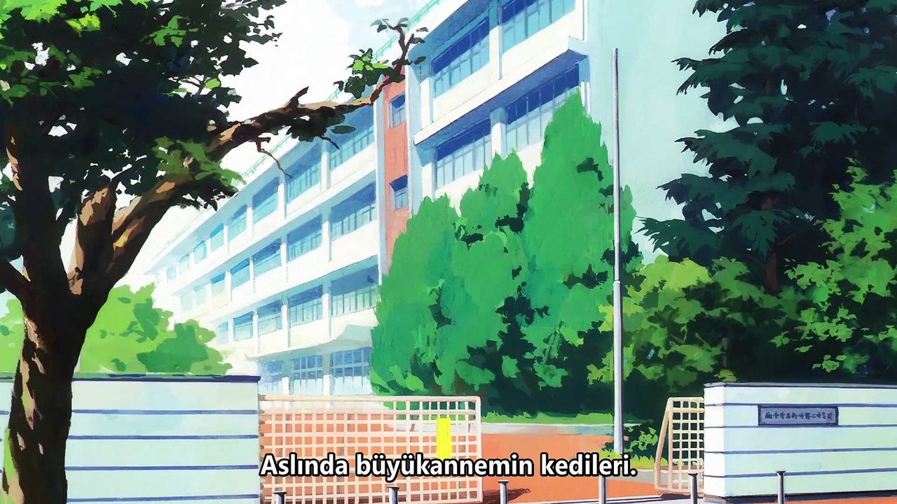 [74Ç3] 20nny 60y - 03 [1080p]
