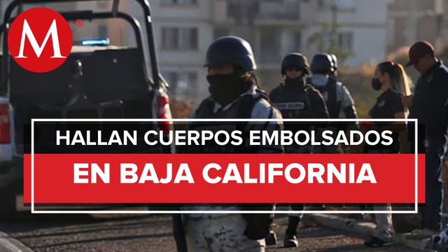 Hallan ocho cuerpos embolsados en carreteras de Tijuana