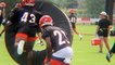 Cincinnati Bengals Training Camp Highlights
