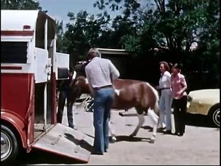 The Secrets of Isis - Season 2 Episode 1 - Seeing Eye Horse